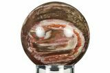 Colorful Petrified Wood (Araucaria) Sphere - Madagascar #237822-1